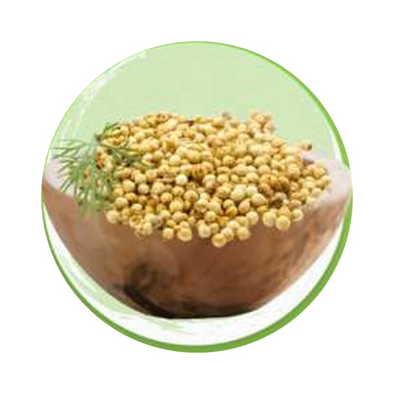 Coriander Seed