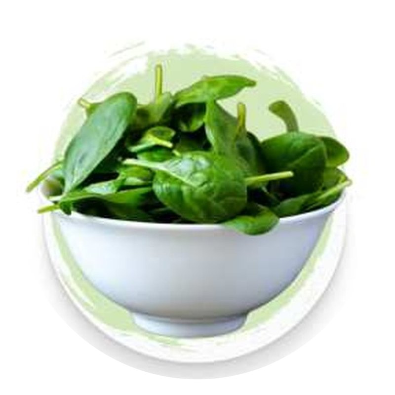 Dehydrated Spinach (Palak)