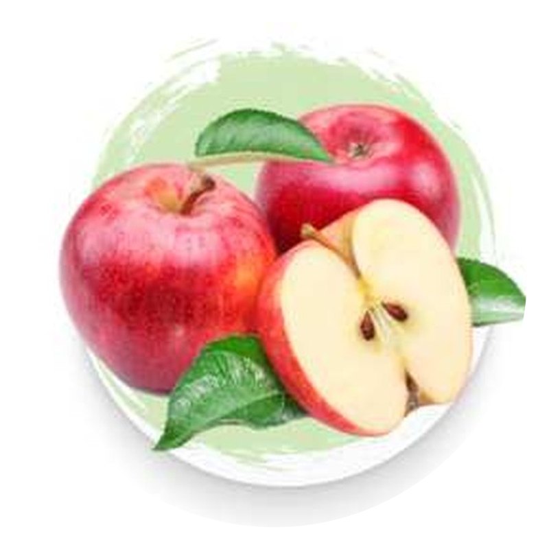 Apple Powder & Dried Apple