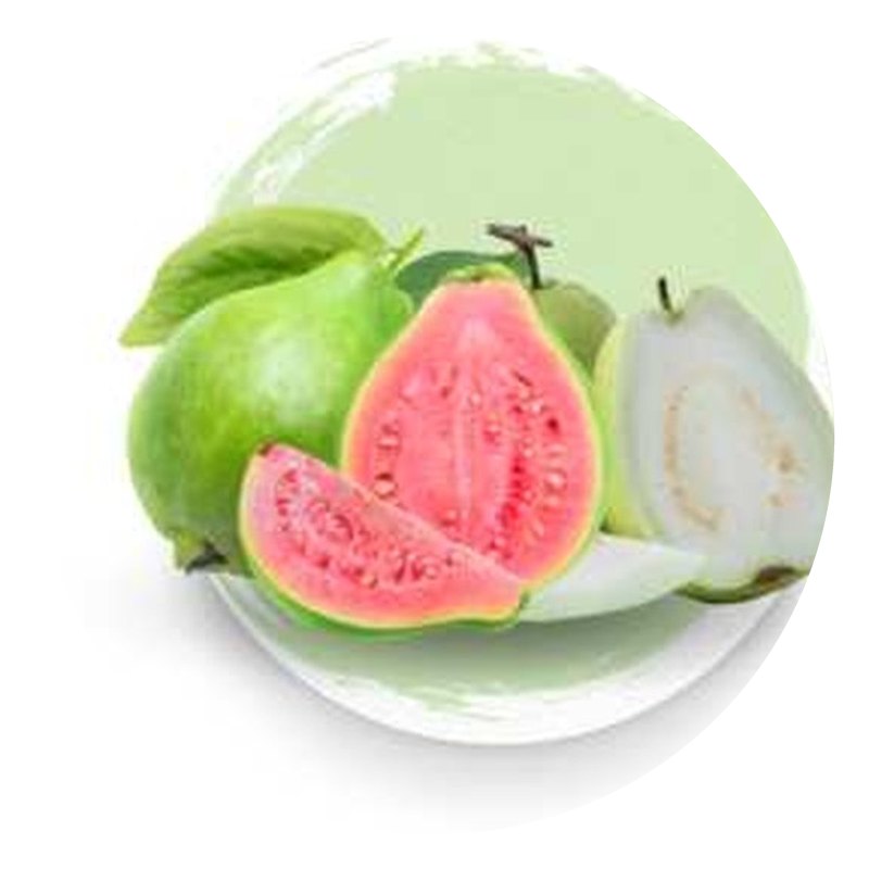 Guava Powder & Dried Guava