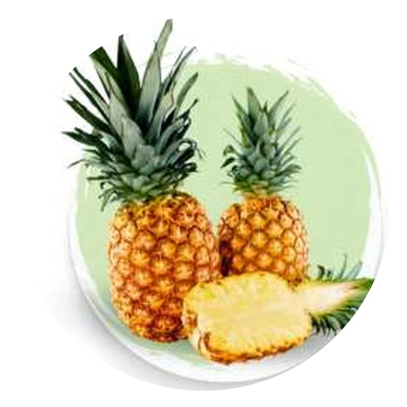 Pineapple Powder & Dried Pineapple