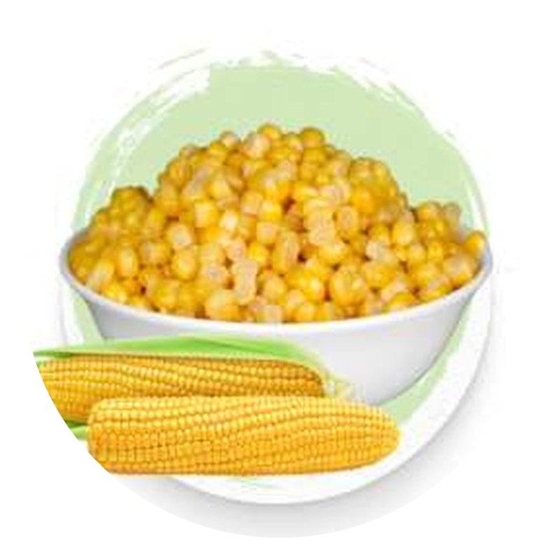 Yellow Maize (Corn)