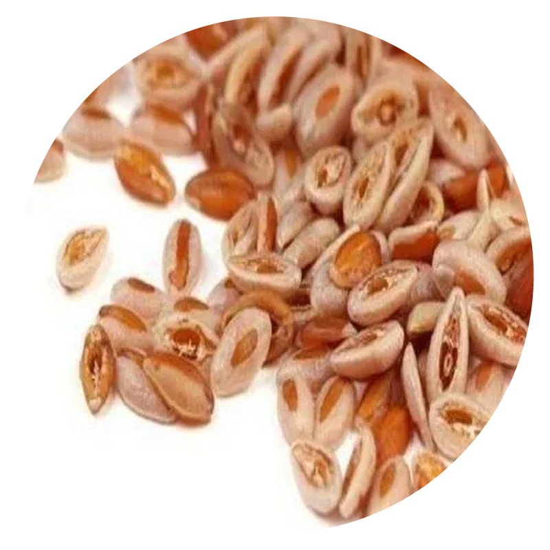 Isabgol (Psyllium Husk & Seeds)
